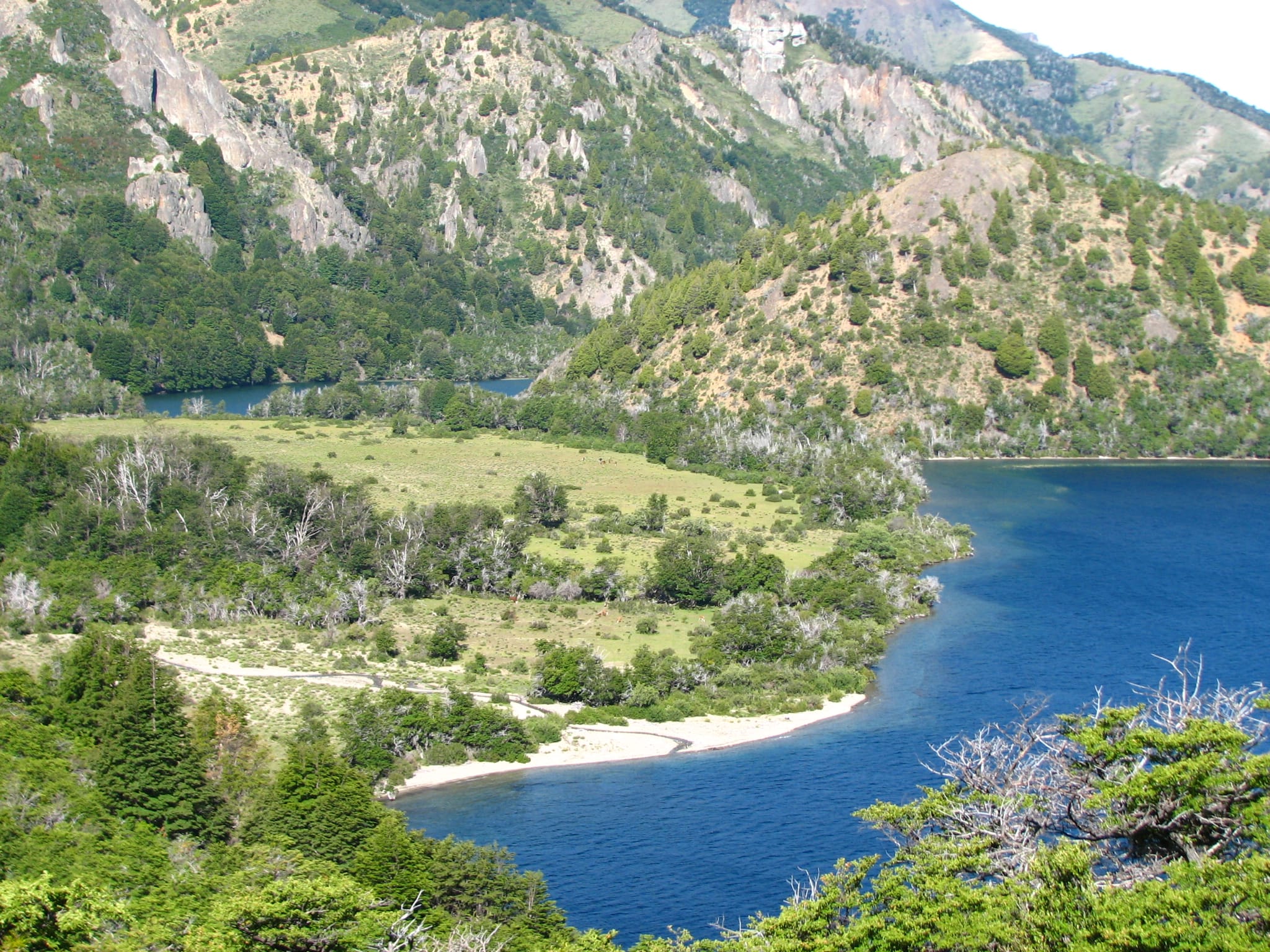 bosque sumergido y patos 177