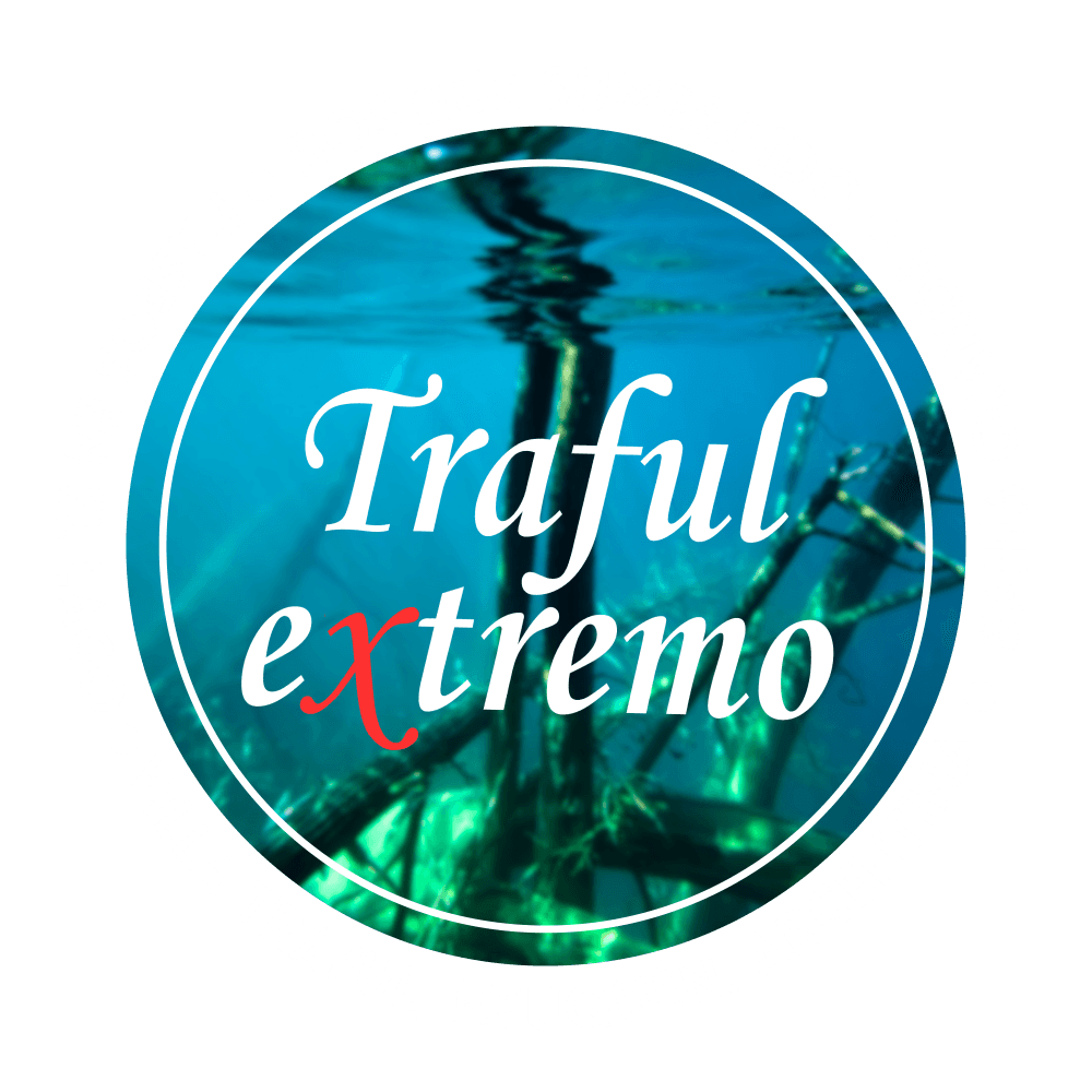 trafulextremo.com