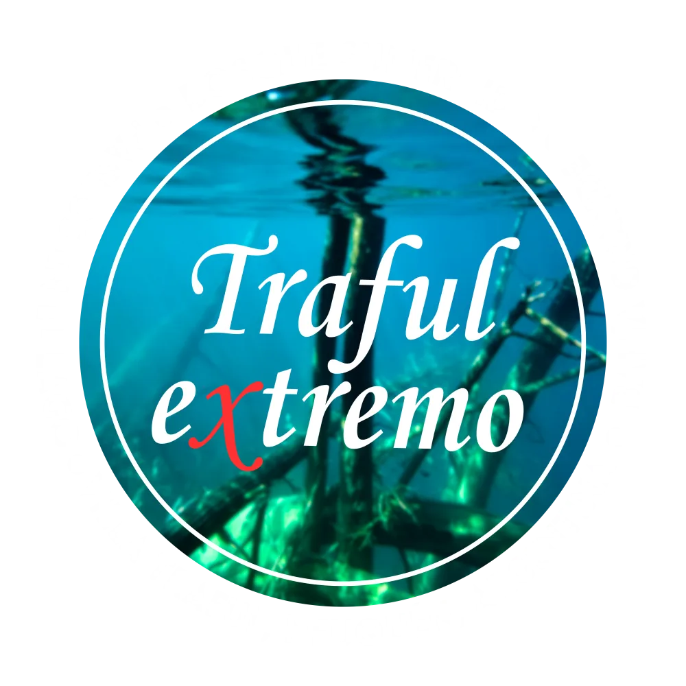 trafulextremo.com